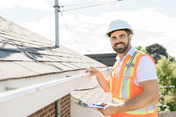 Best Residential Roofing Contractor  in International Falls, MN