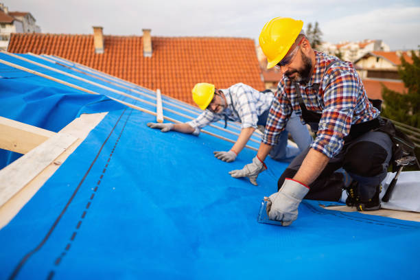 Best Metal Roofing Contractor  in International Falls, MN