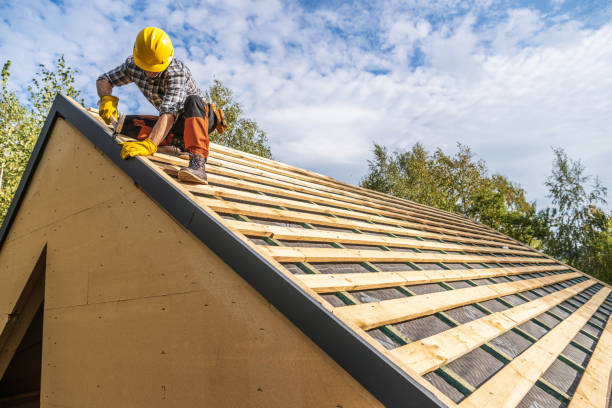 Best Best Roofing Contractors  in International Falls, MN