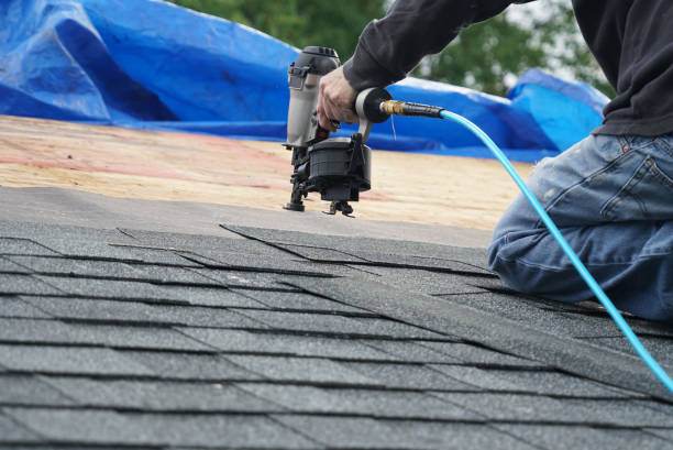 Best Roof Replacement Cost  in International Falls, MN
