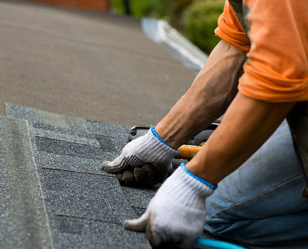 Best Roof Repair Services  in International Falls, MN
