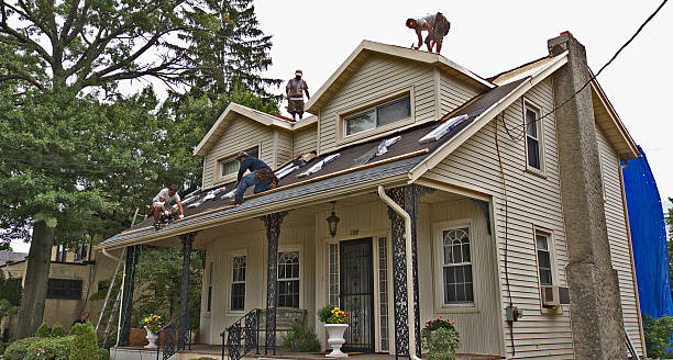 Best Roofing Contractor Near Me  in International Falls, MN