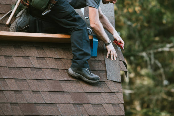 Best Emergency Roof Repair  in International Falls, MN