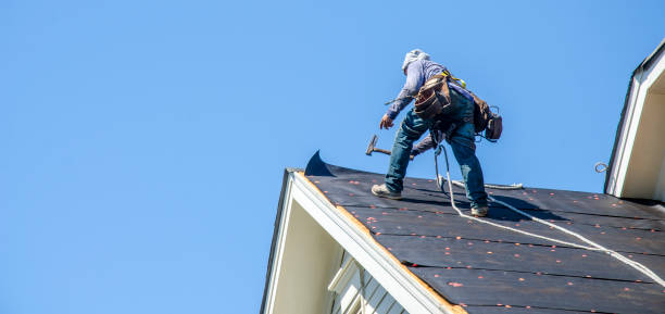 Best Tile Roofing Contractor  in International Falls, MN